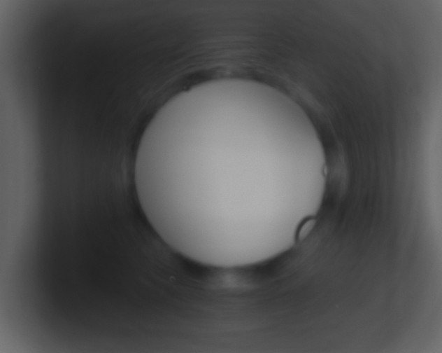 X0000101460565200807071135