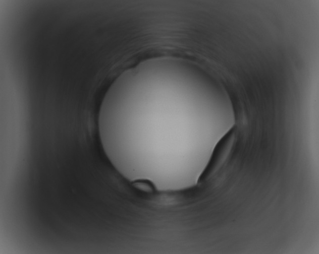 X0000101460566200807071135