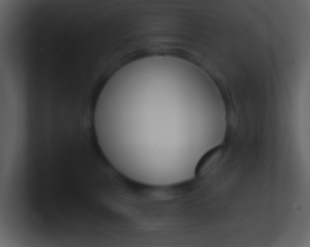 X0000101460567200807071135