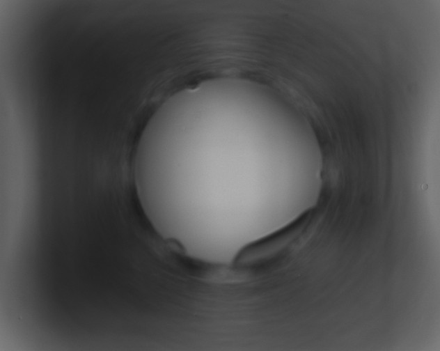 X0000101460568200807071135