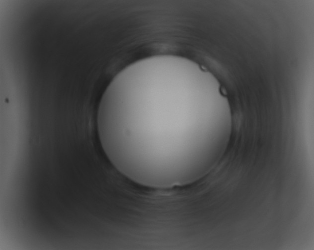 X0000101460570200807071135