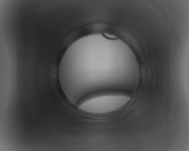 X0000101460571200807071135