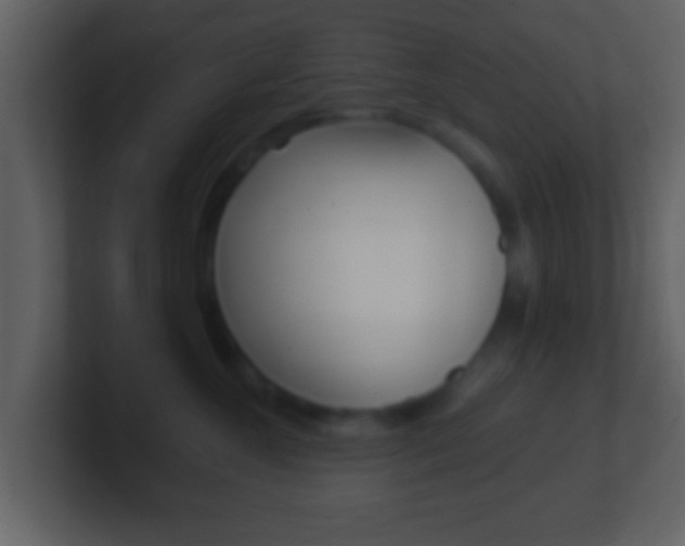 X0000101460572200807071135