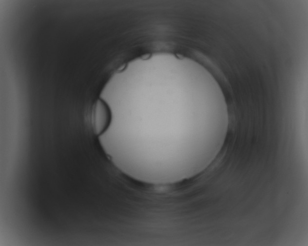 X0000101460573200807071135