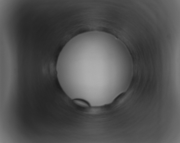X0000101460575200807071135