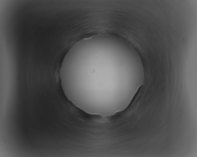 X0000101460576200807071135