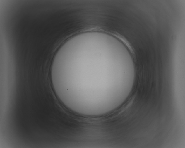 X0000101460577200807071134