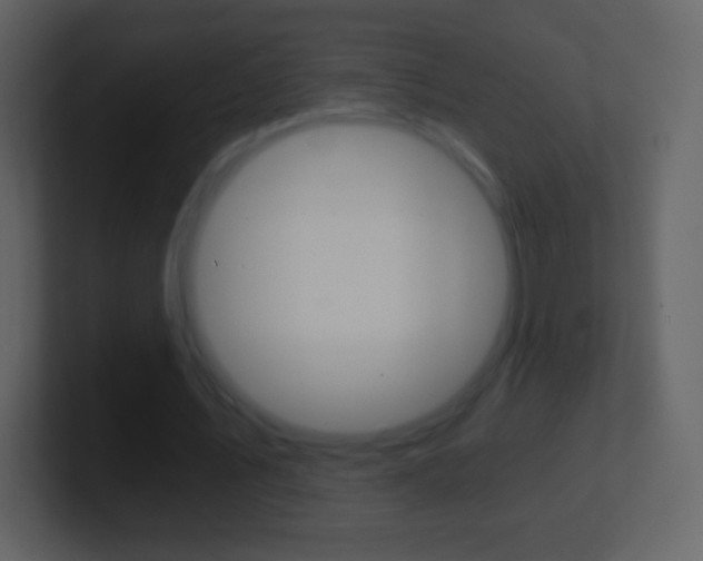 X0000101460579200807071134