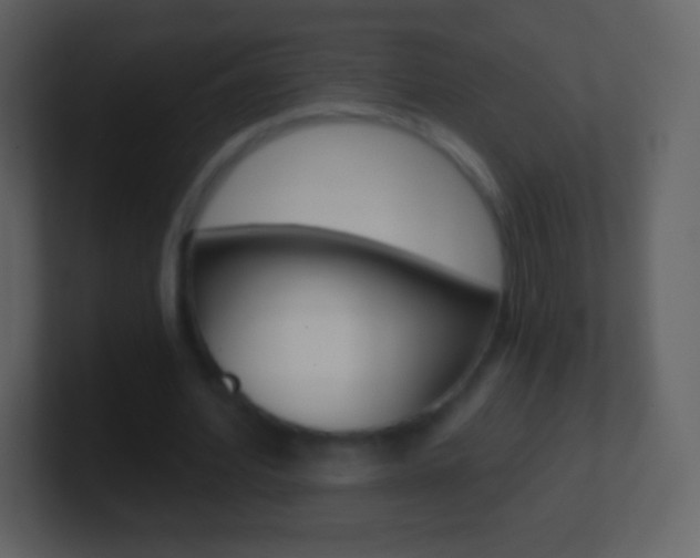 X0000101460580200807071134
