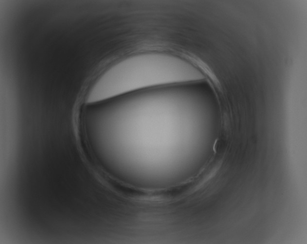 X0000101460581200807071134