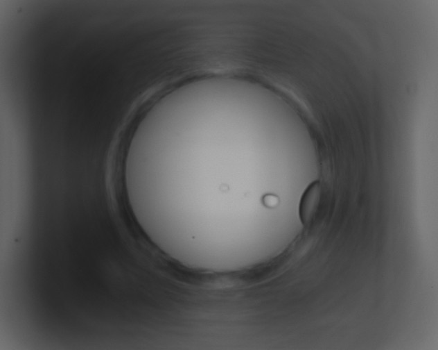 X0000101460587200807071134