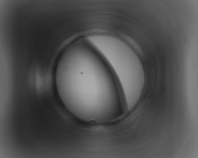 X0000101460588200807071134