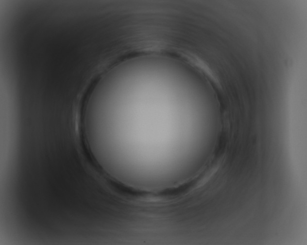 X0000101460589200807071134