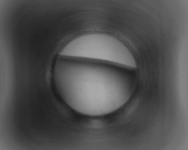 X0000101460592200807071134