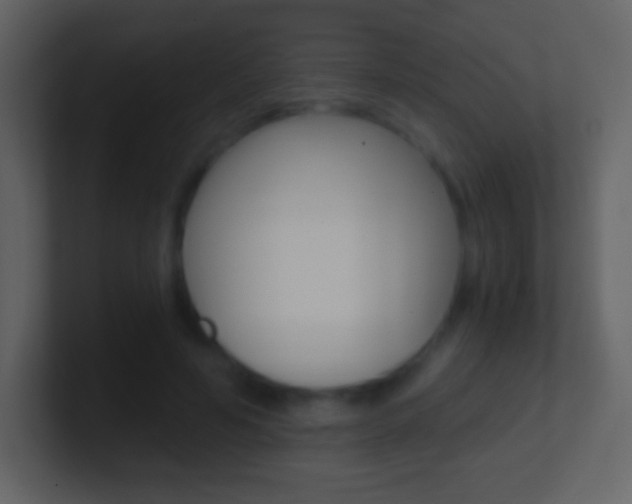 X0000101460594200807071134
