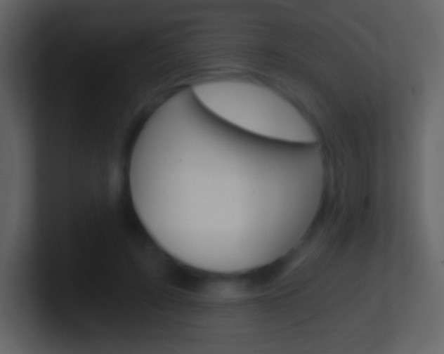 X0000101460595200807071134