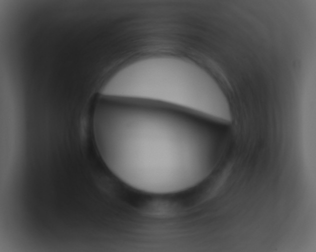 X0000101460596200807071134