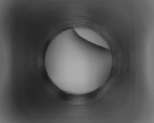 X0000101460599200807071134