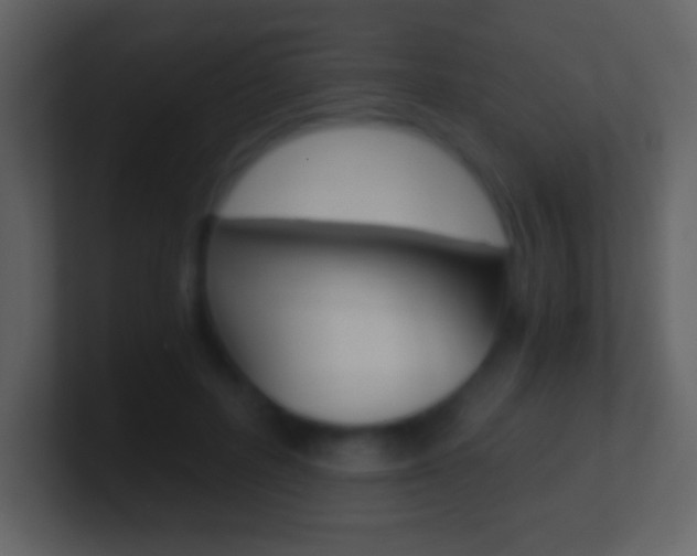 X0000101460600200807071134