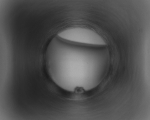 X0000101460605200807071134