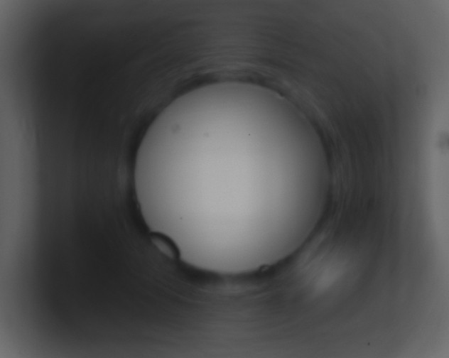 X0000101460608200807071134