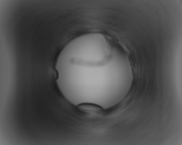 X0000101460614200807071134