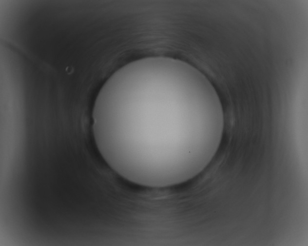 X0000101460615200807071134