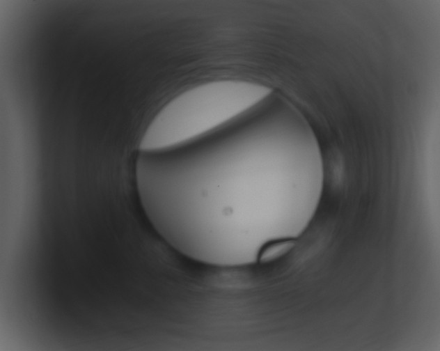 X0000101460619200807071133