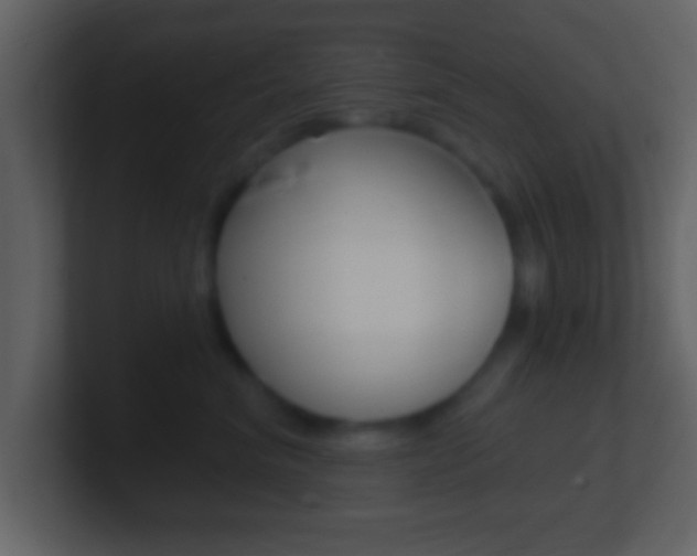 X0000101460620200807071133