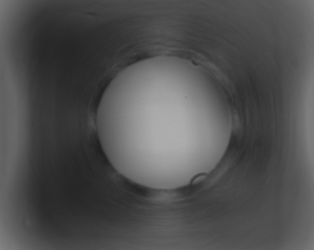 X0000101460621200807071133
