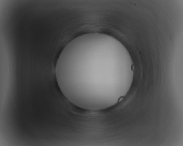 X0000101460624200807071133