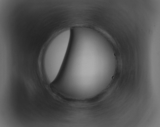 X0000101460626200807071133