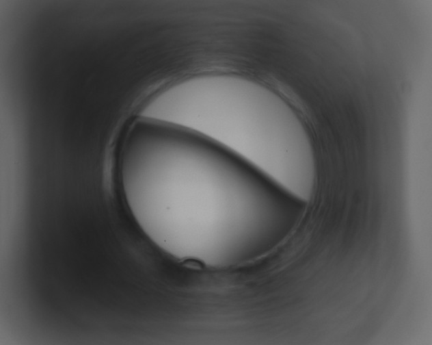 X0000101460627200807071133
