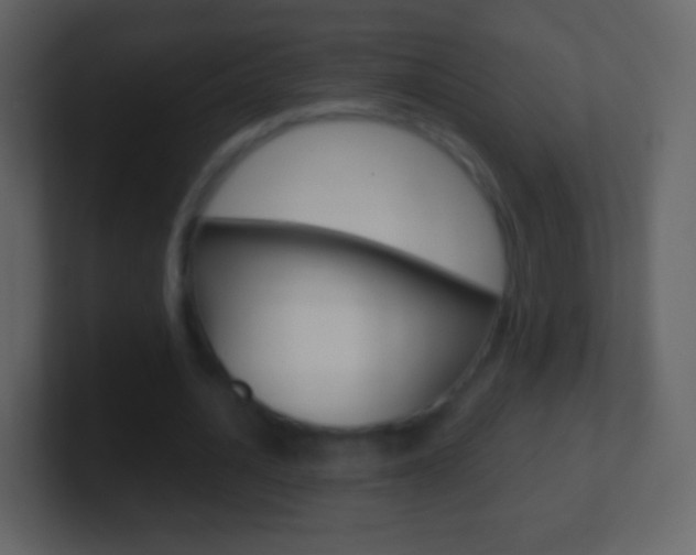 X0000101460628200807071133