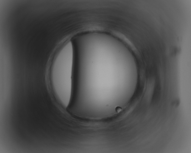 X0000101460629200807071133