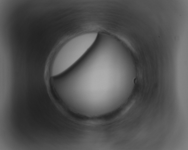X0000101460630200807071133