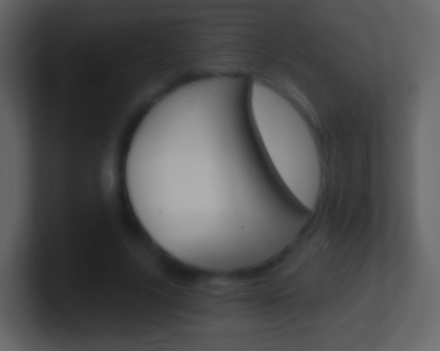 X0000101460635200807071133