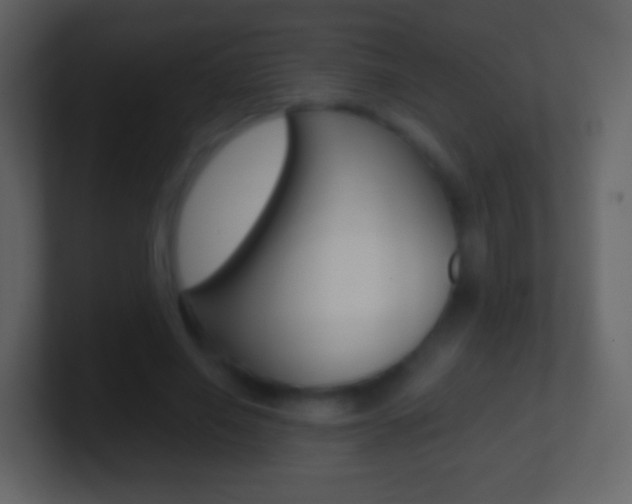 X0000101460638200807071133