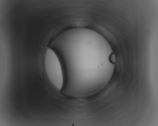X0000101460639200807071133