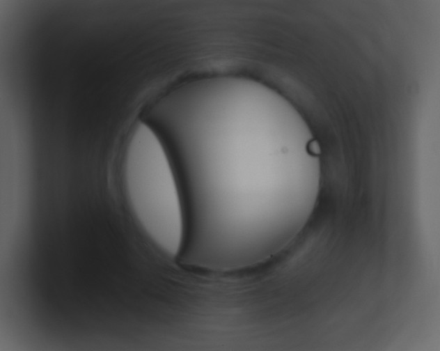 X0000101460640200807071133