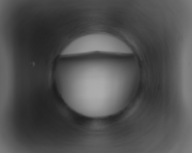 X0000101460641200807071133