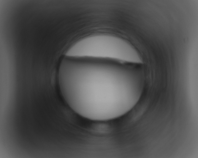 X0000101460649200807071133