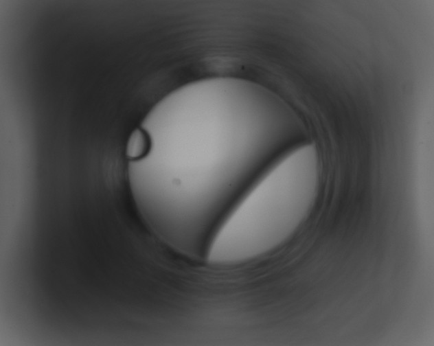 X0000101460651200807071133