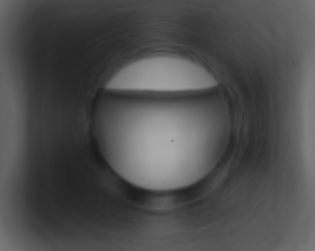X0000101460653200807071133