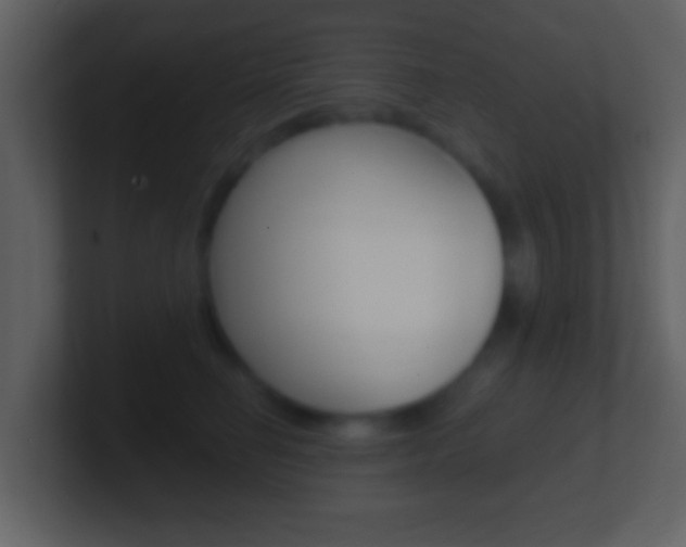 X0000101460662200807071133