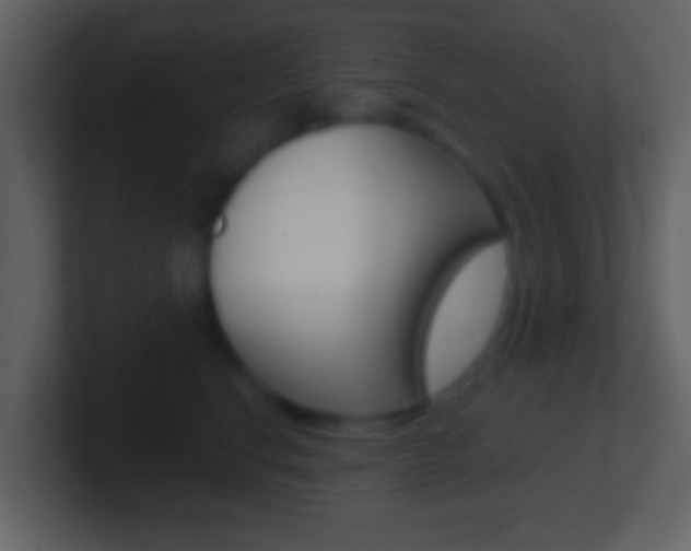 X0000101460664200807071133