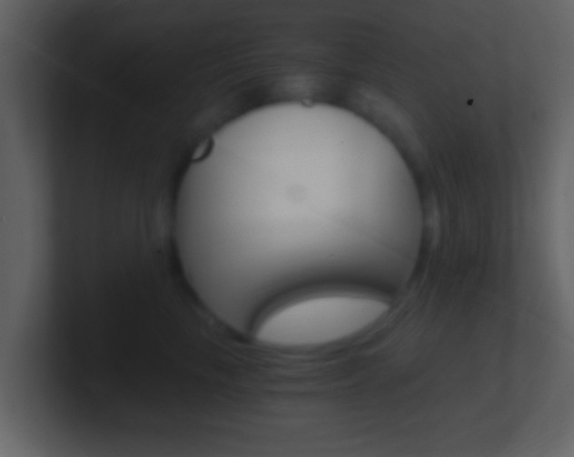 X0000101460665200807071133