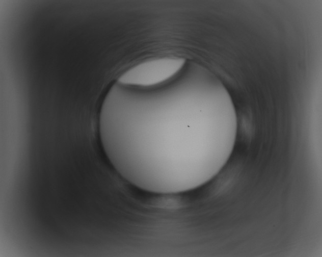 X0000101460668200807071133