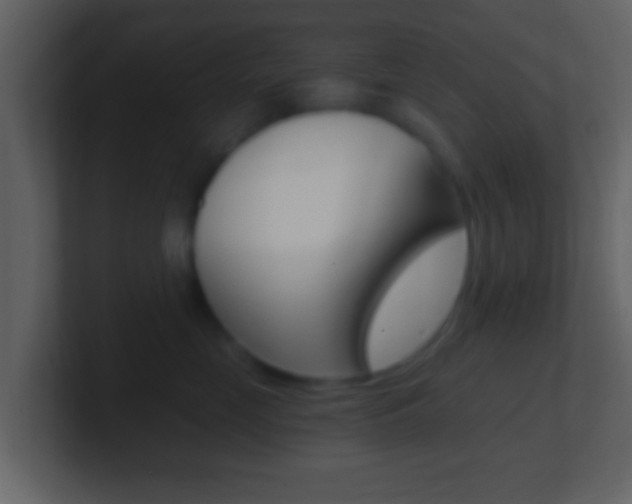 X0000101460669200807071133