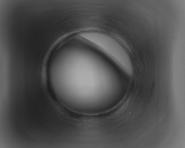 X0000101460676200807071133